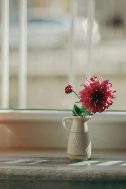 a red flower sitting inside of a vase