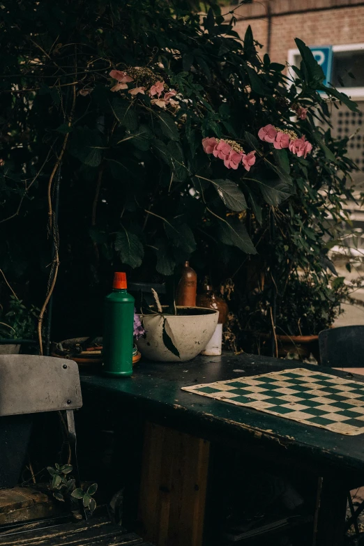 two green picnic tables with checkered cloths and flowers