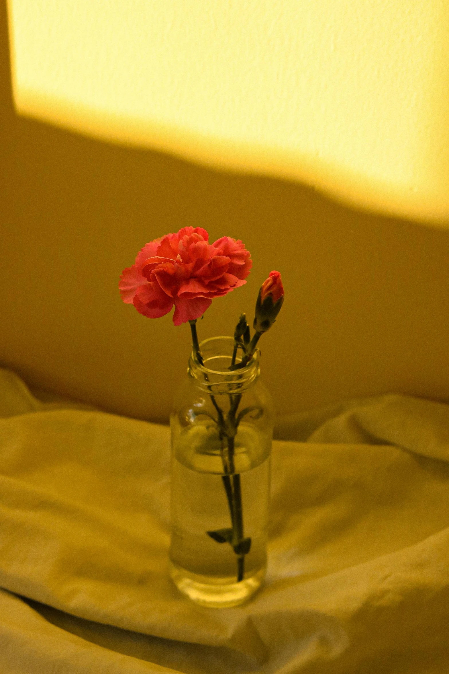 a glass vase that has three red flowers inside