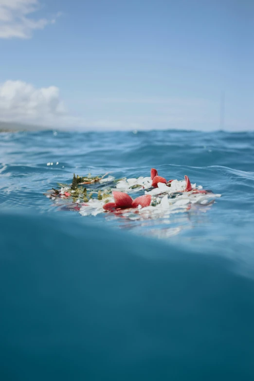 a small group of items floating on top of water