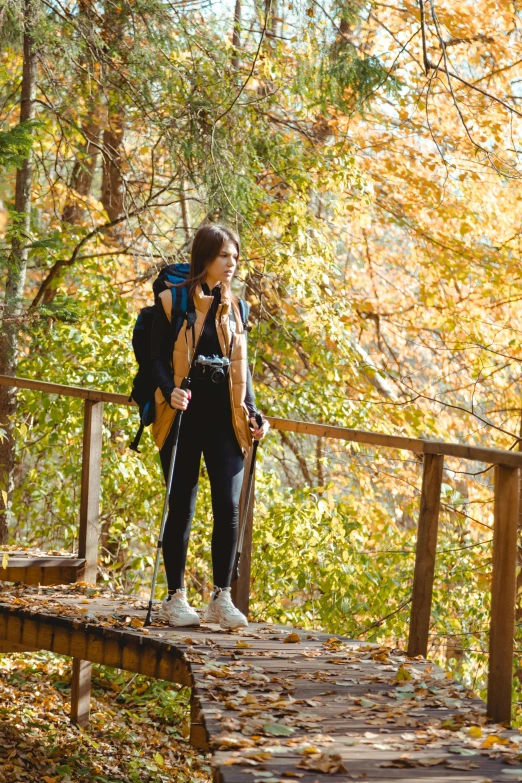 the woman is hiking along the walkway in the woods