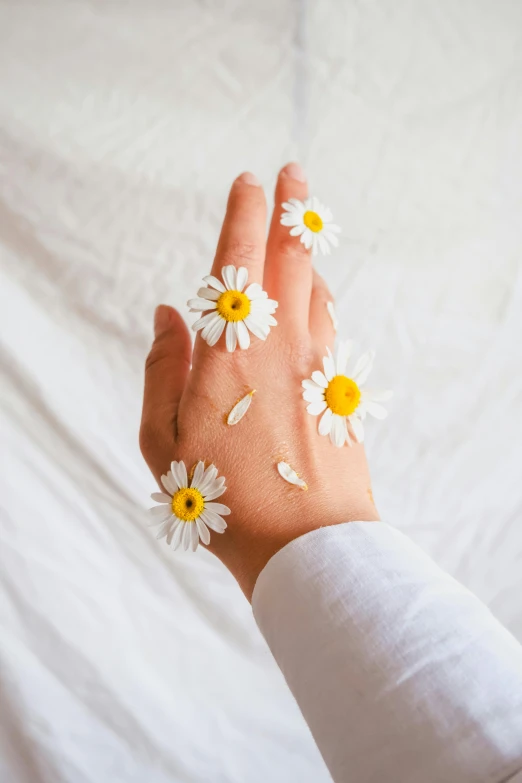 someone is holding two daisies with one hand