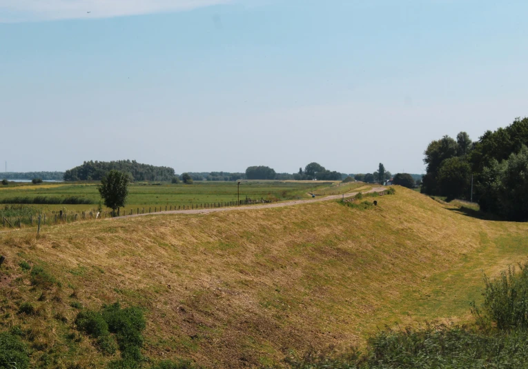 the field is near a country road in a rural area