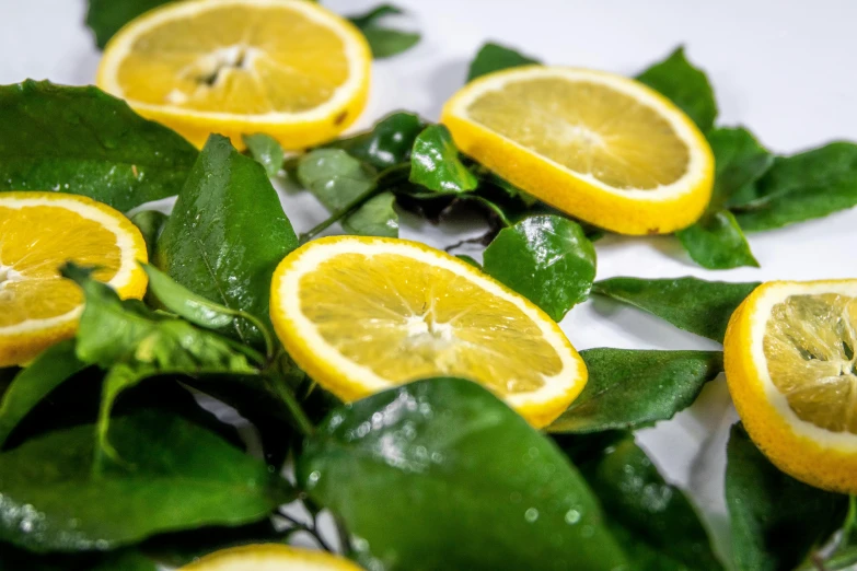 some lemons are laying out on some leaves