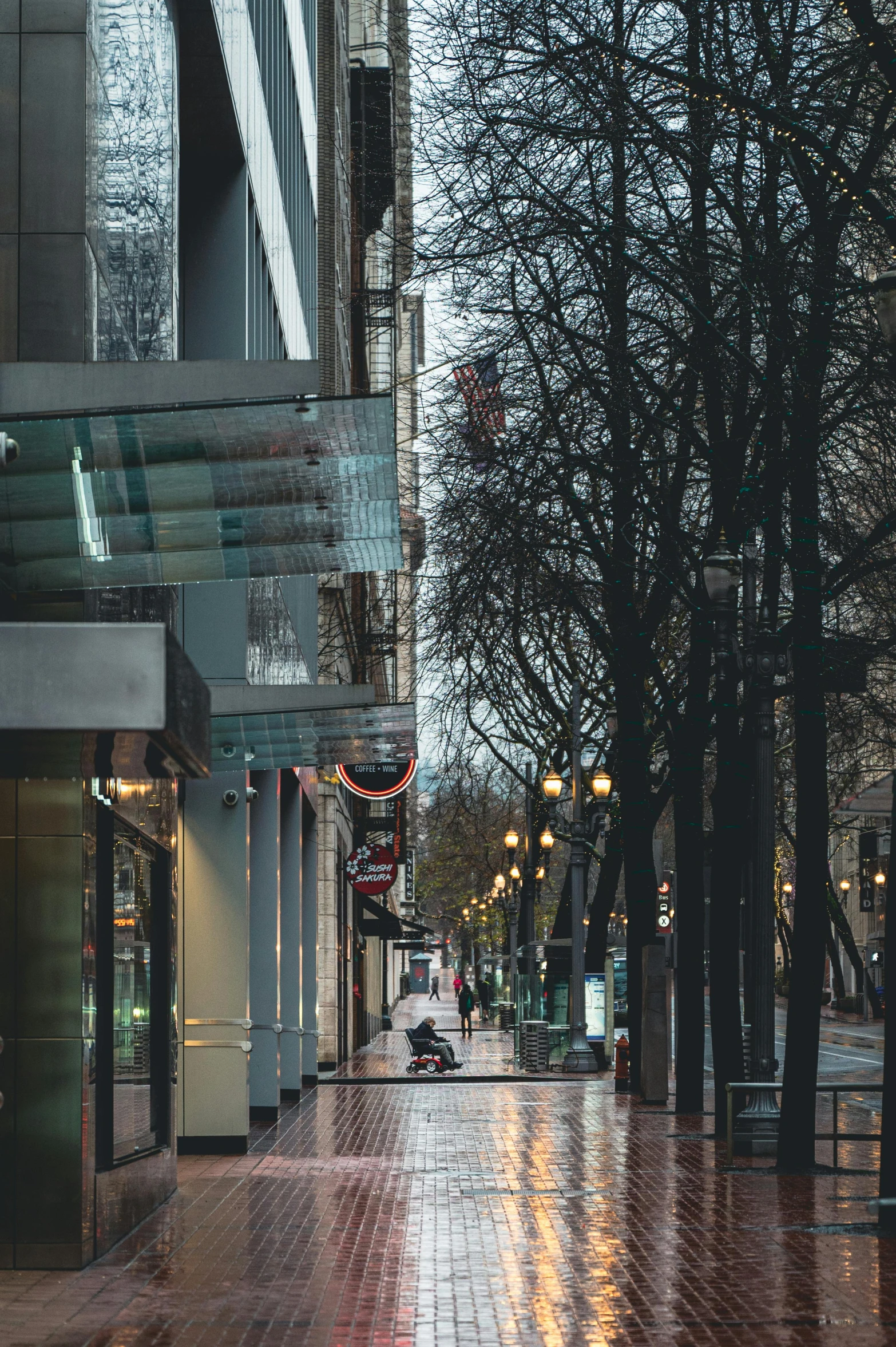 a rainy street in the city with parked cars and trees