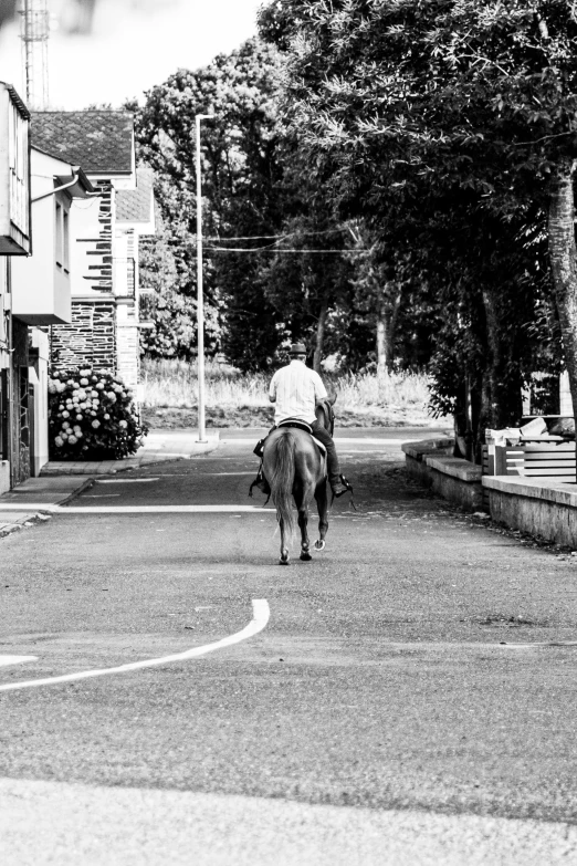 a man riding a horse down the middle of a road