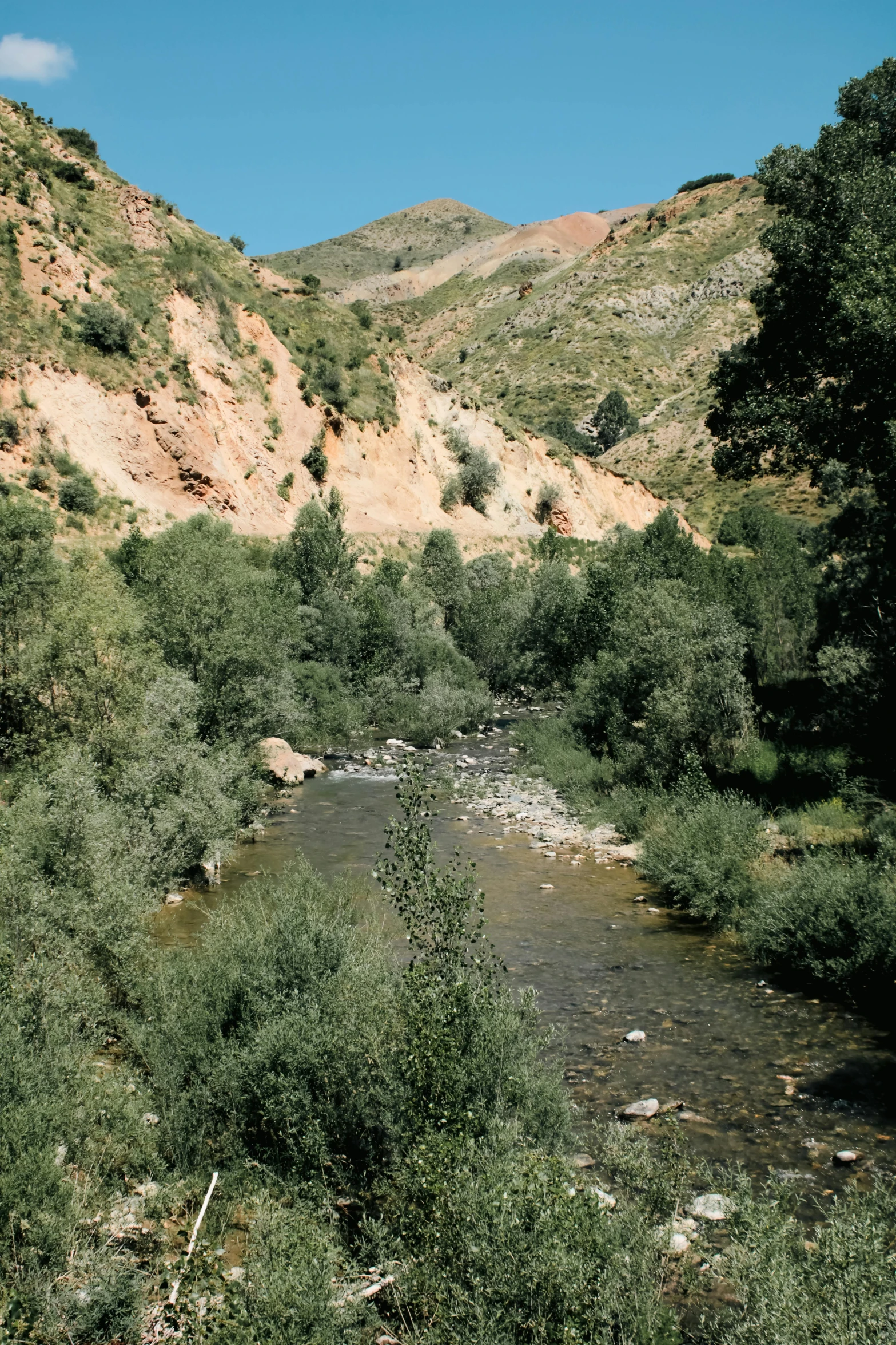 a river in a green valley below a mountain