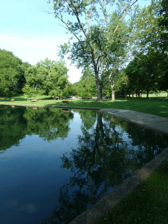 a body of water with trees in the background