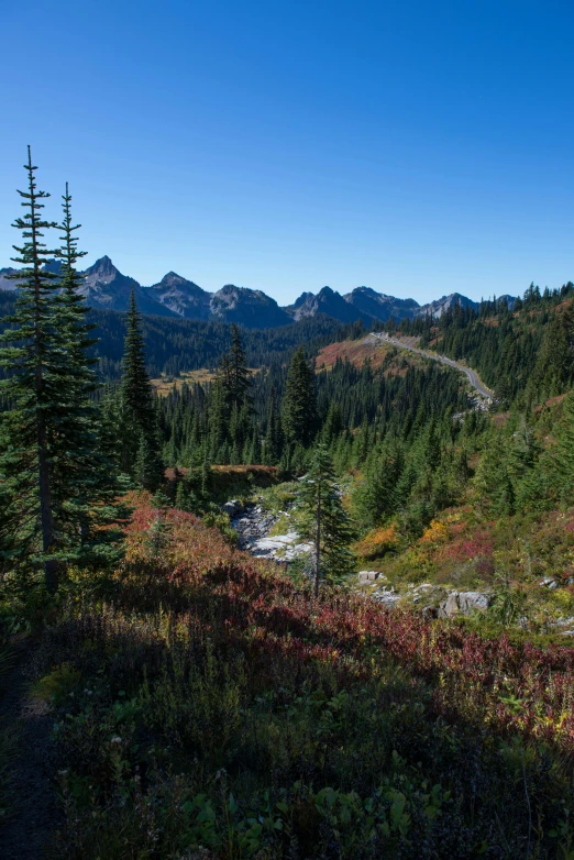 a scenic trail leads up the mountain side