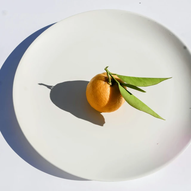 there is an orange and a green leaf on the white plate