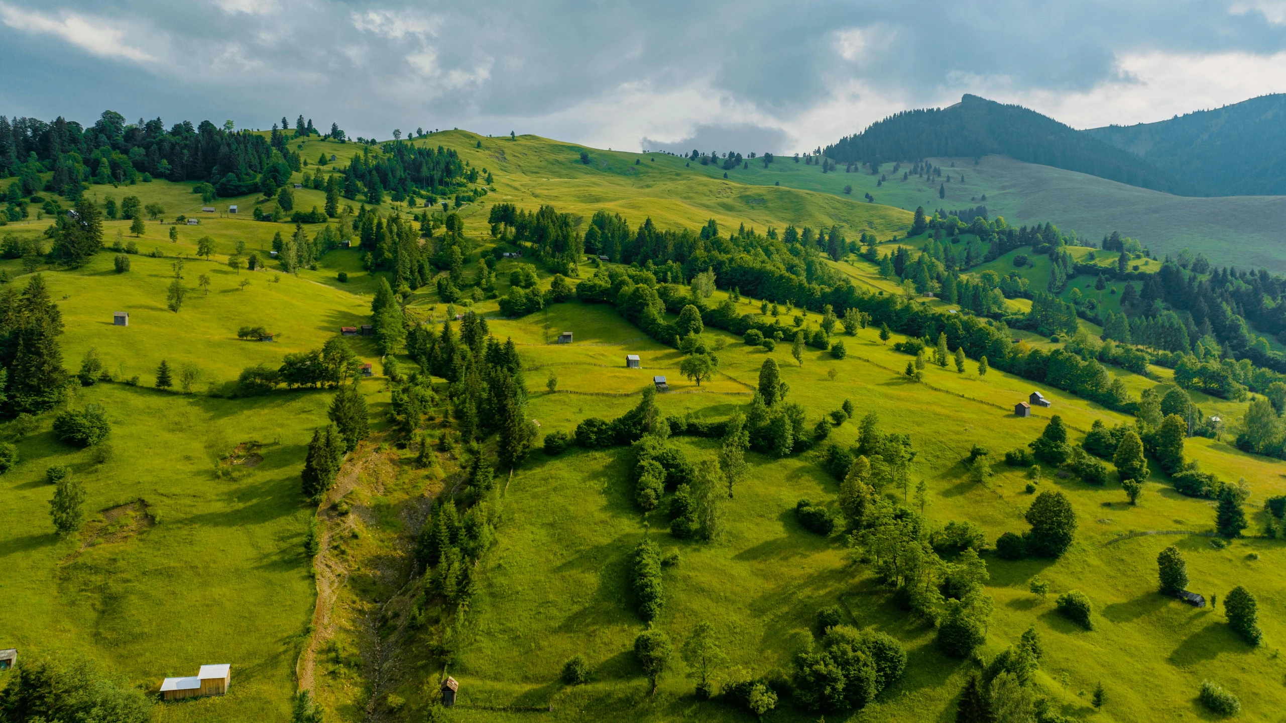 a large green field with trees on the side of it