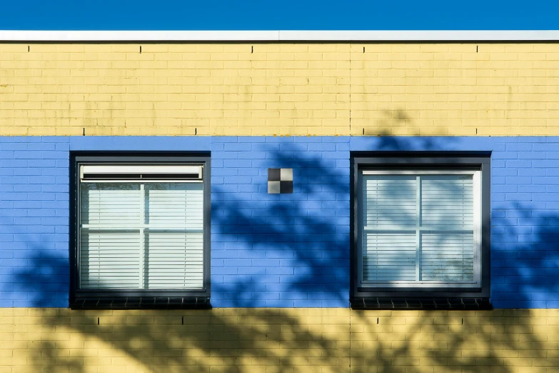 the reflection of a large tree in the windows of a building