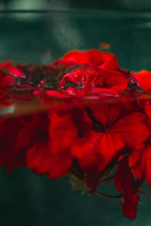 a close up of red flowers in a green bowl