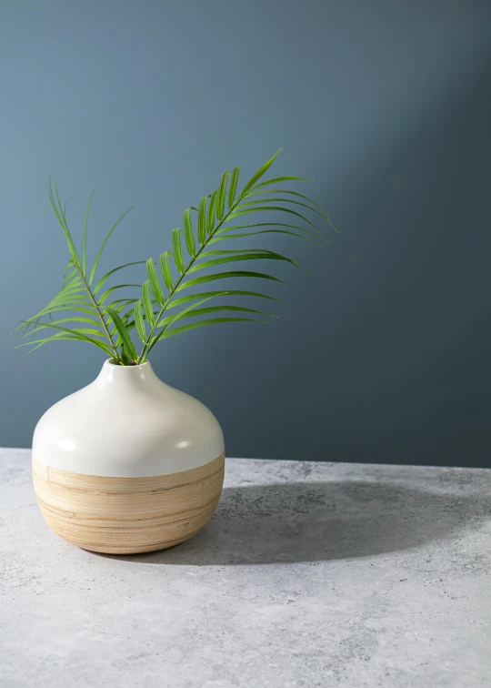 a white vase with some small plants in it