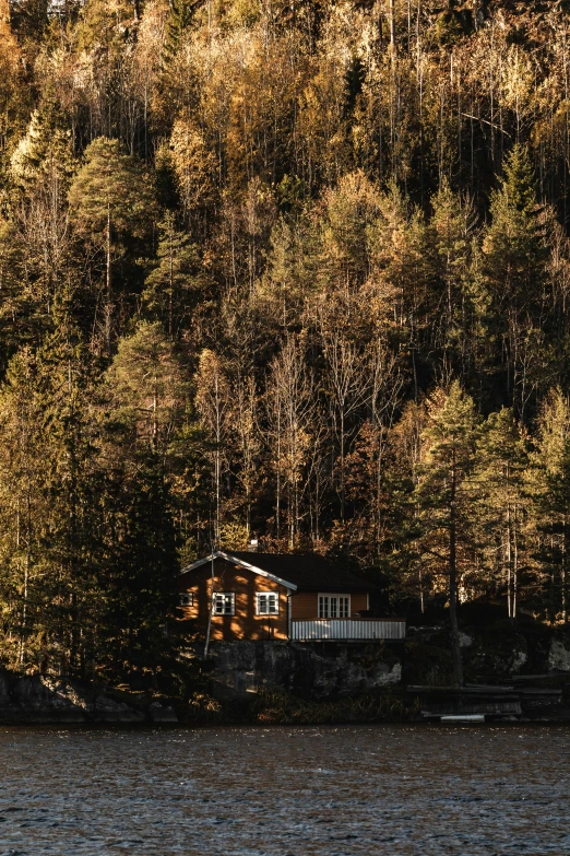 this is a cabin on the water in front of trees