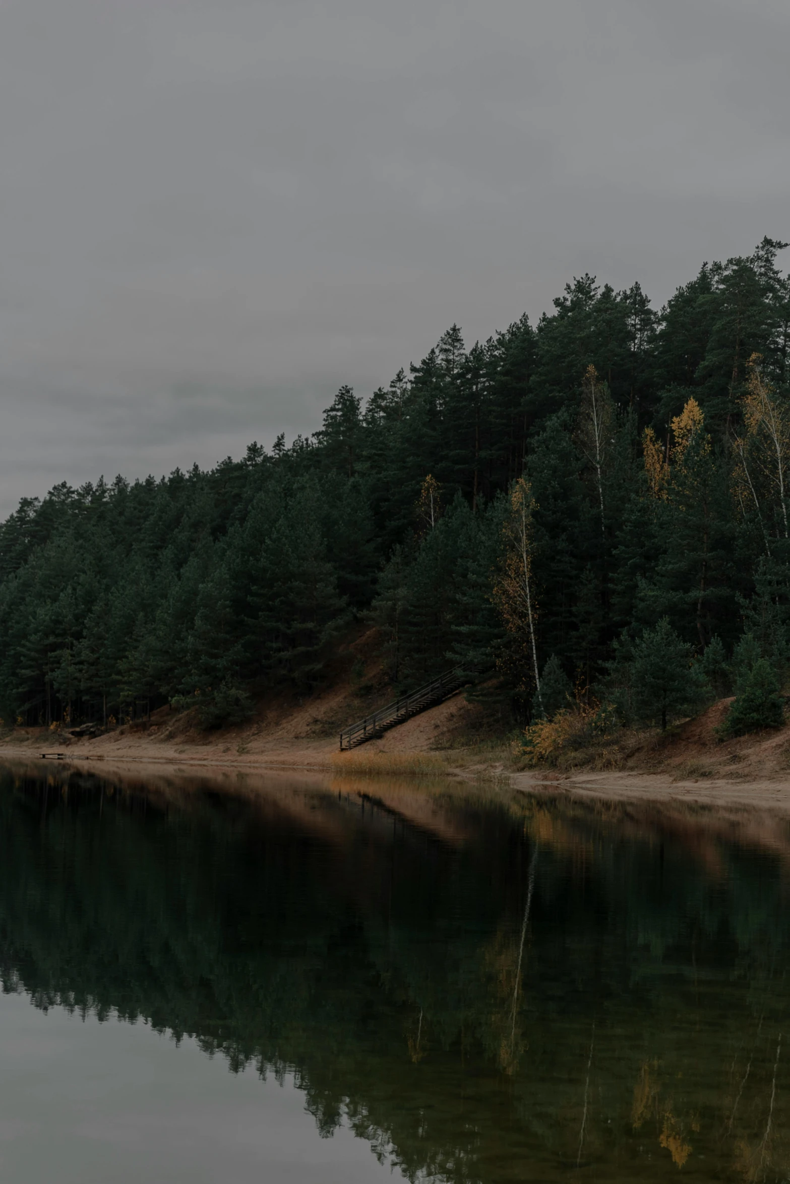 an area with trees and water, some grass in the background