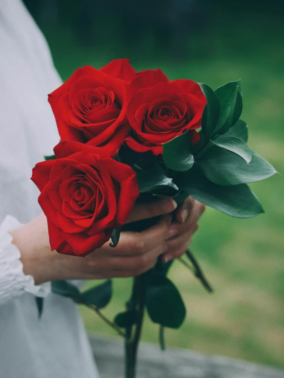 a closeup of red roses in someones hands