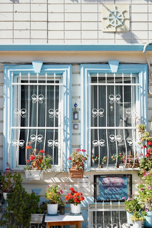 the building is displaying two large windows and several small flowers