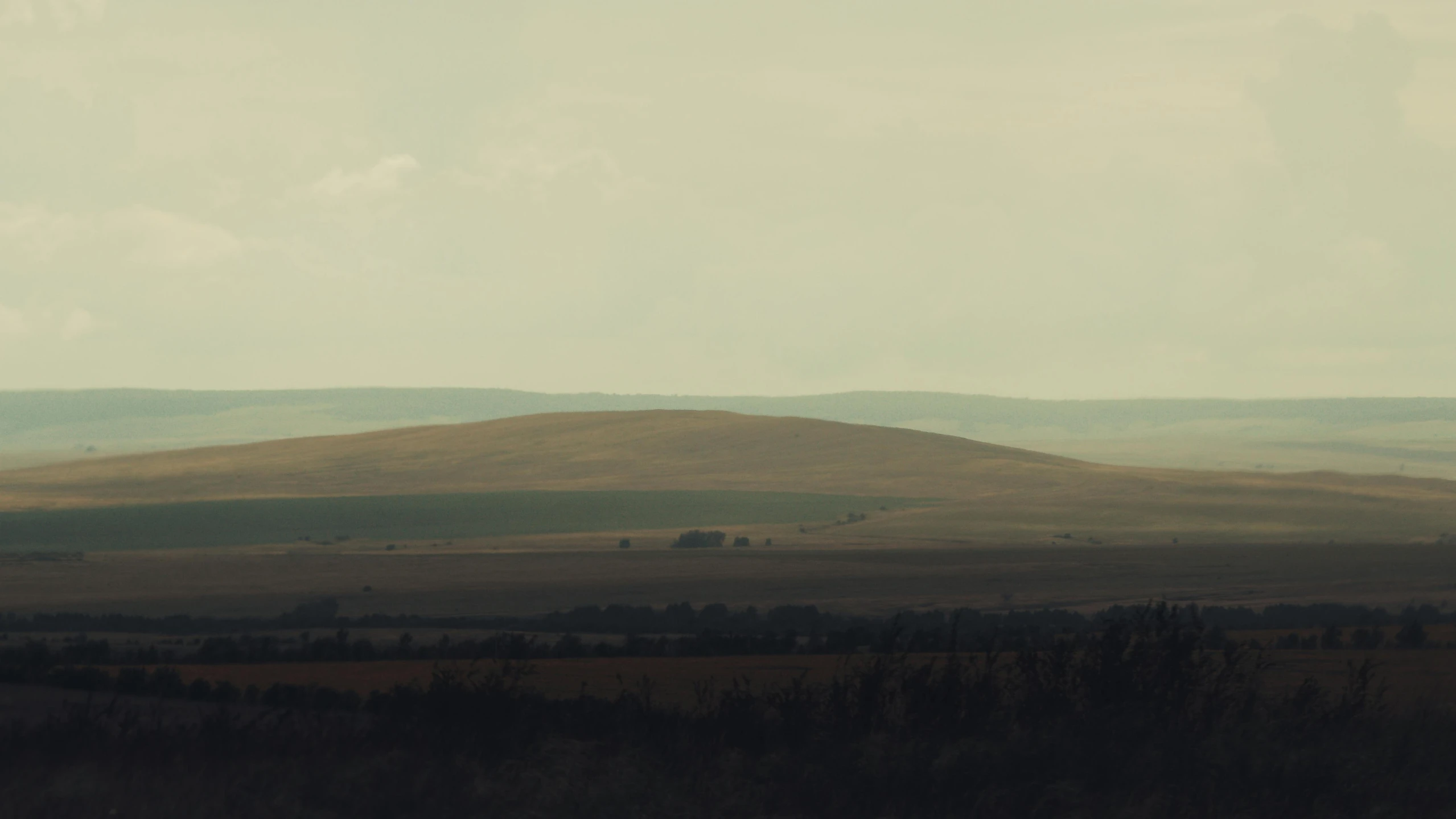 a herd of animals on a field in front of some hills