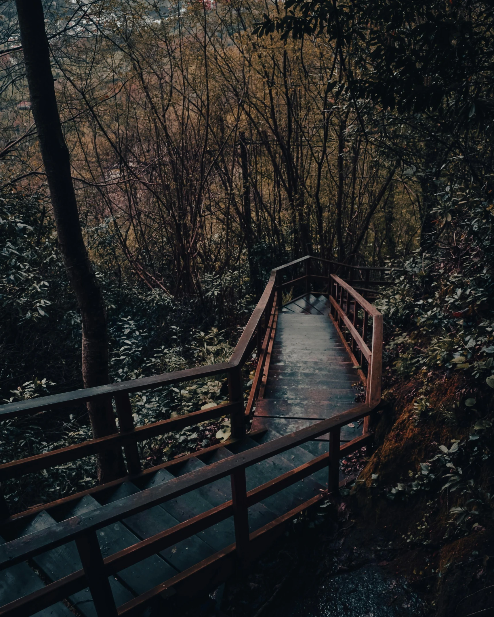 a wooden walkway with railings and trees