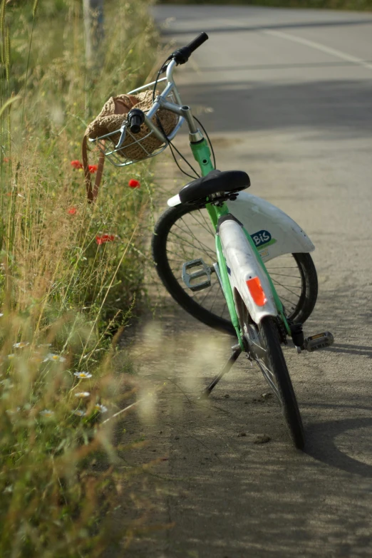 a bicycle sitting next to a road near grass