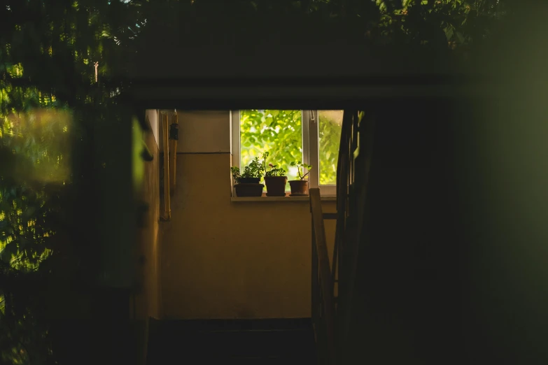 an open door leading into a room with plants on the windowsill