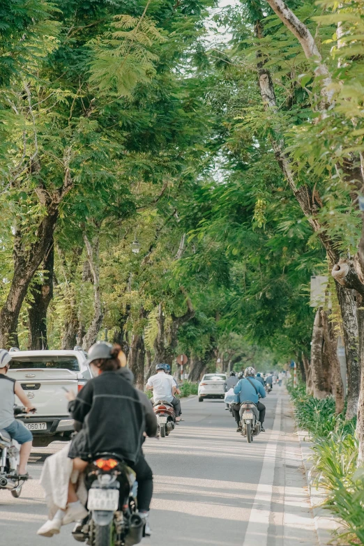 a road filled with many trees and bicycles