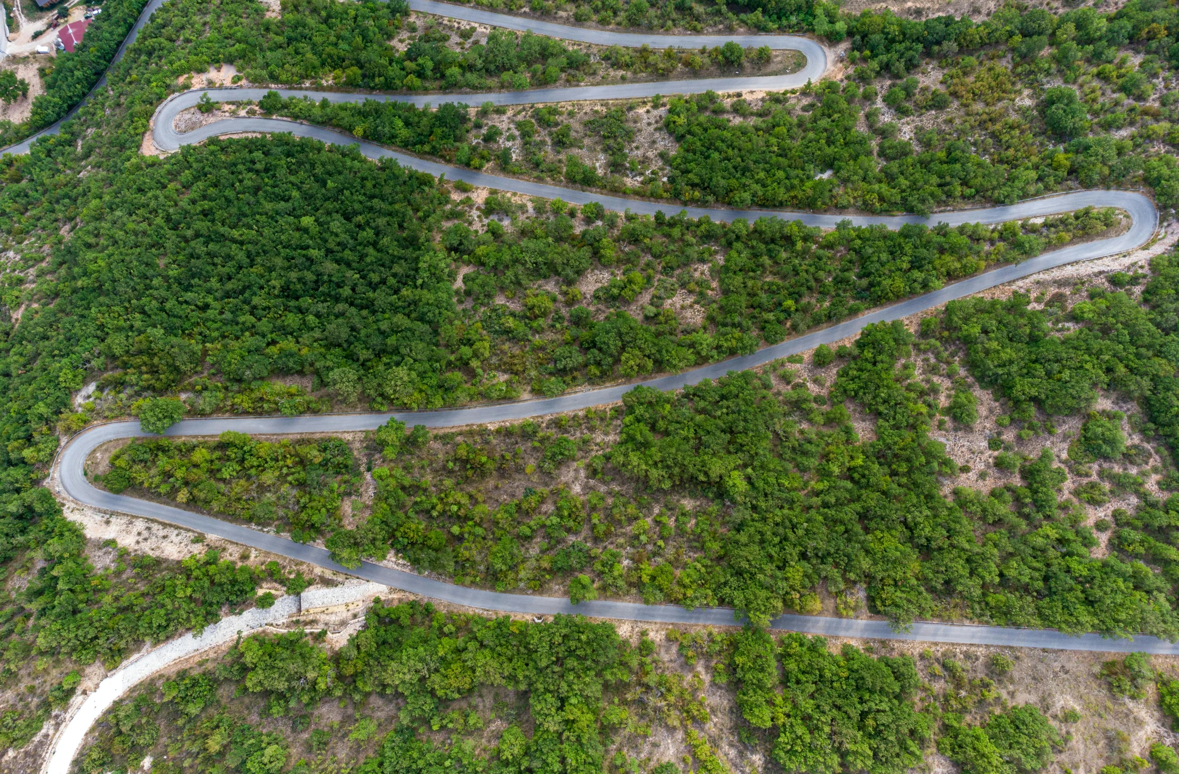 winding winding road in the middle of a forested area