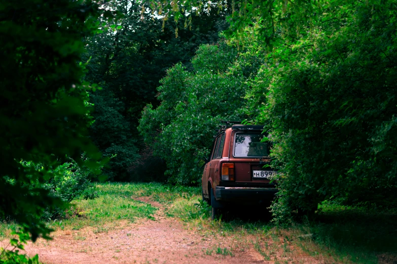 an old red pick up truck sitting in the forest