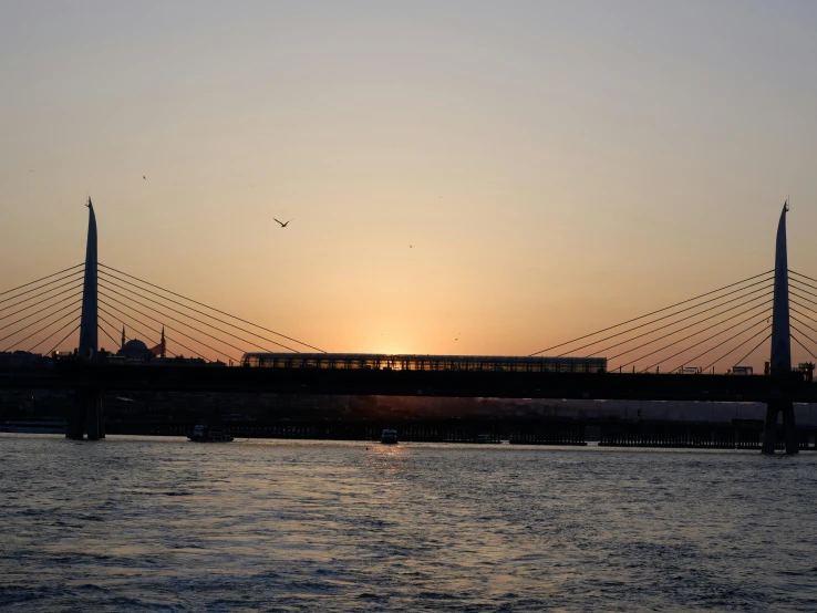 a bridge that is over water with birds