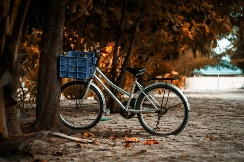 a bike that is leaning against a tree