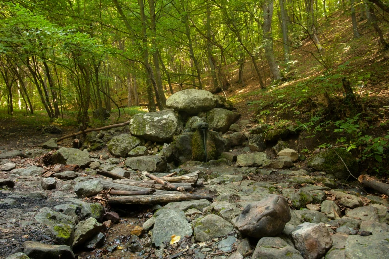 the rocks and trees are all by the trail