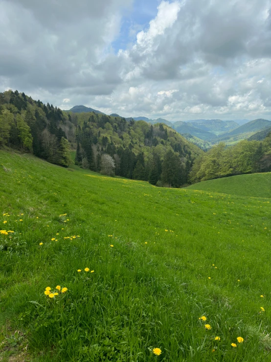 there are green fields and mountains in the distance