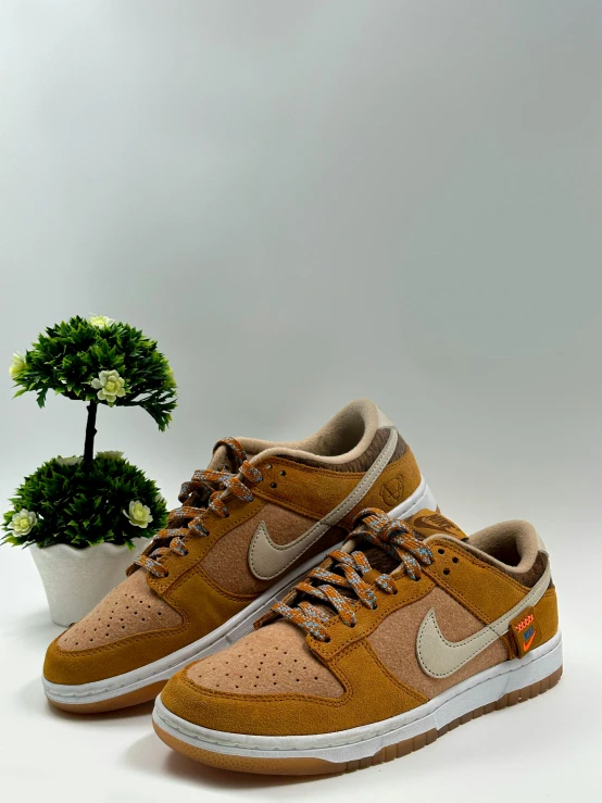 an orange and brown nike sneakers with a plant next to it