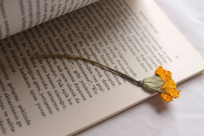 a book with an orange flower on it