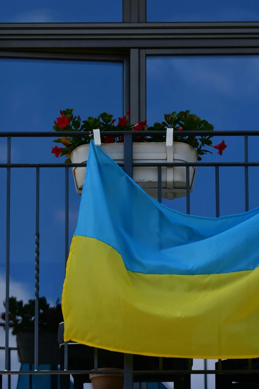 a flag dd around a window sill by flowers