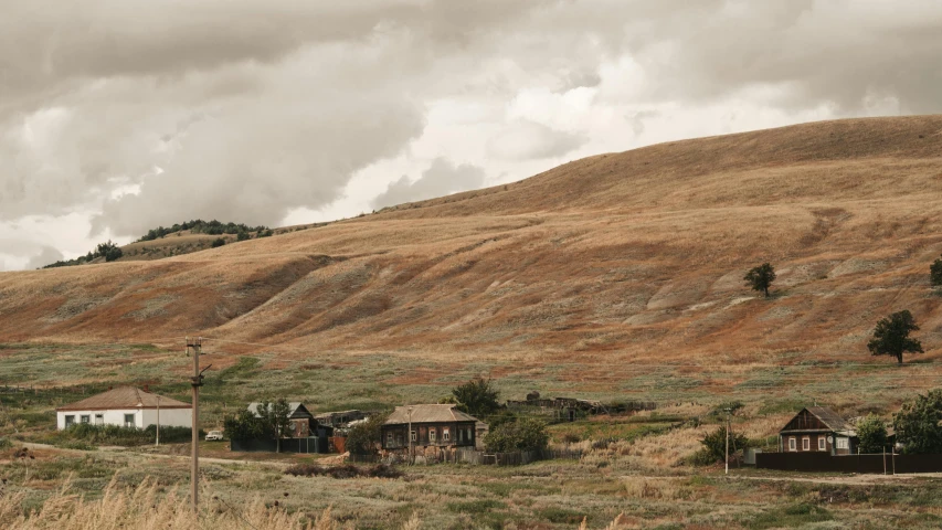 some houses in a field near a mountain