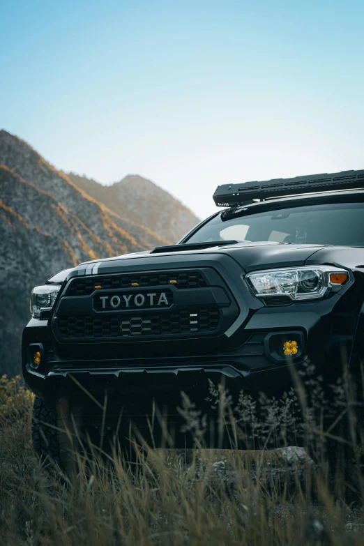 the toyota hilux truck is parked in a grassy field