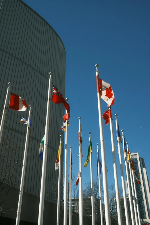 many canadian flags flying in a blue sky