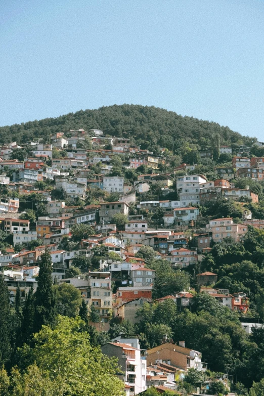 a hillside covered in homes, surrounded by trees