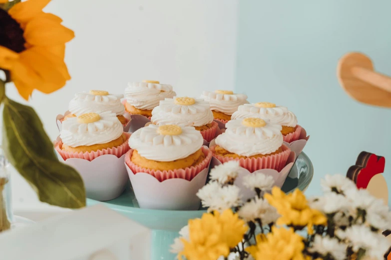 several cupcakes with white icing and flower in vase