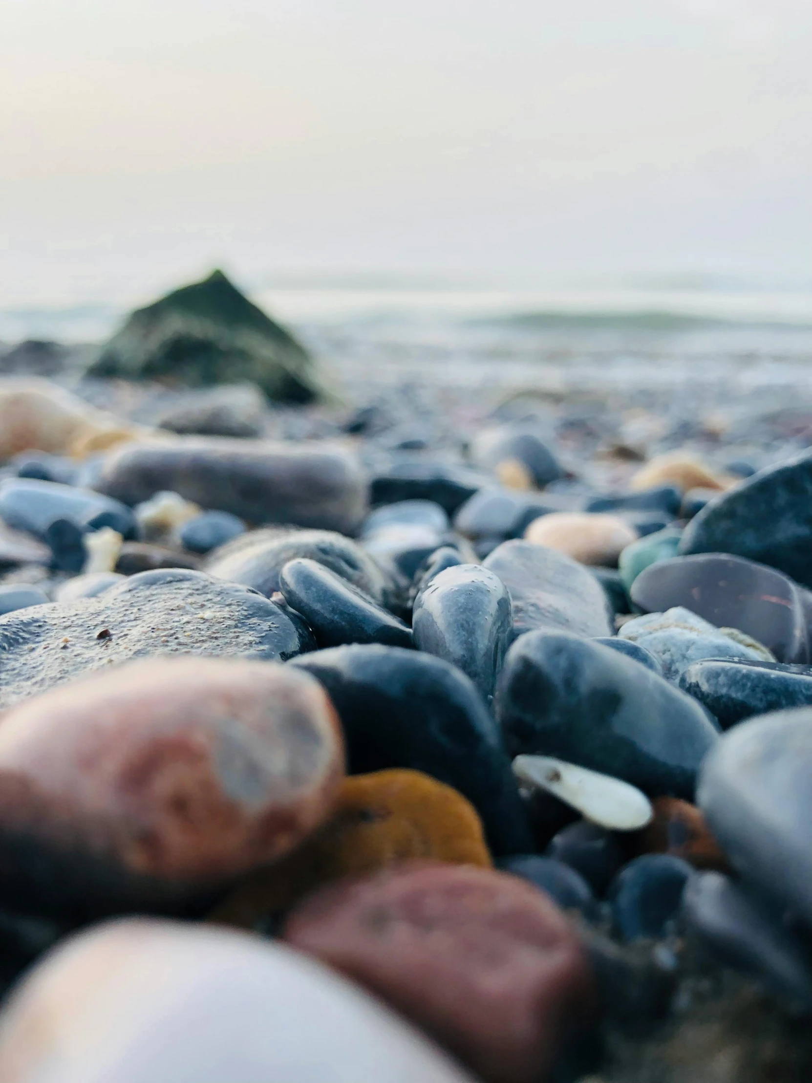 an empty bottle laying on a pile of rocks