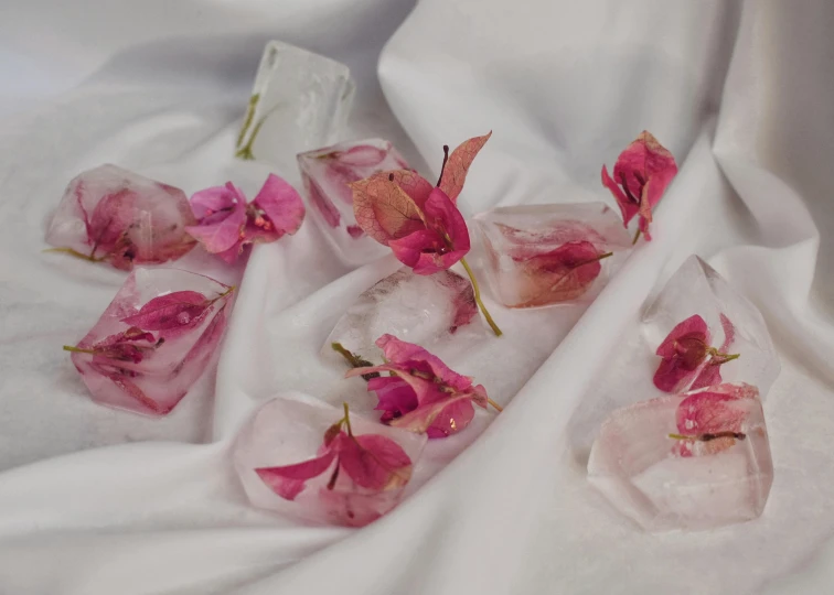 pink flowers are on white silk with some ice