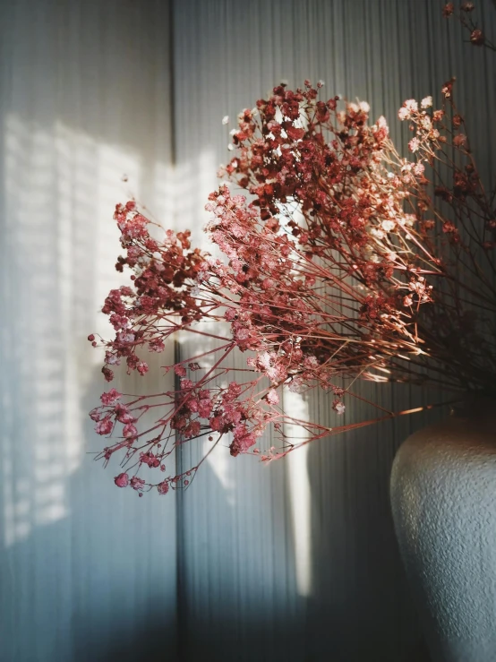 red flowers placed in front of a wall