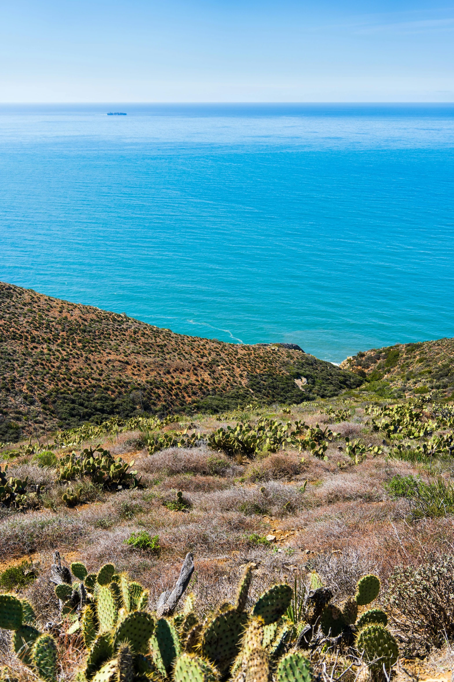 view of the ocean, grassy landscape and blue sky