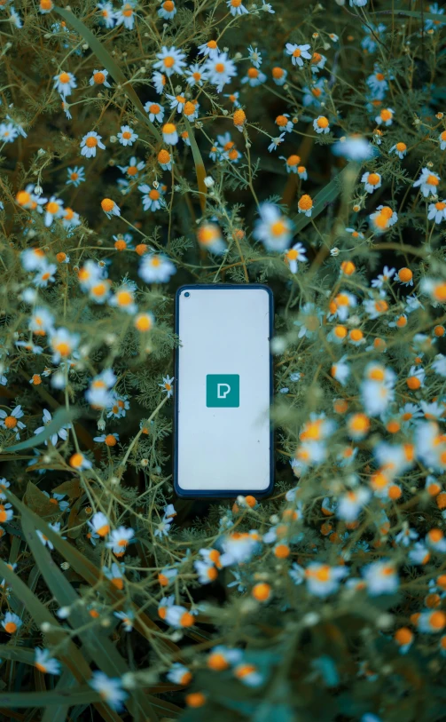 an image of a cell phone sitting on a plant