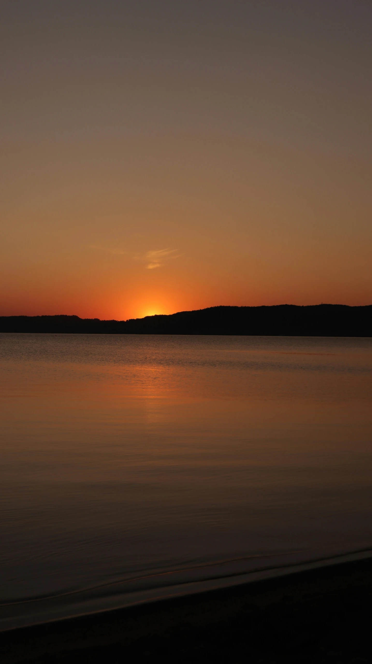 the sun rises behind a tree and a body of water