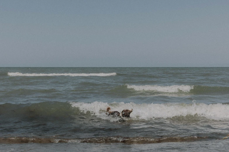 some people out in the ocean holding onto a rope