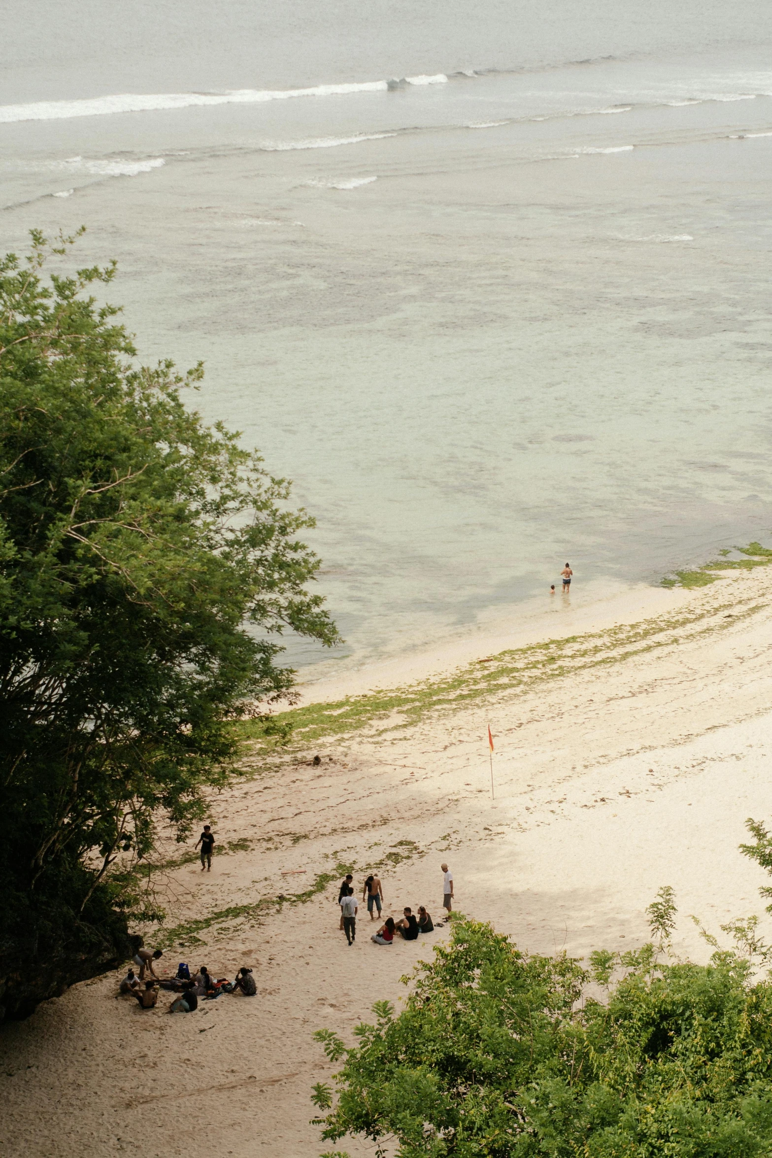 a group of people stand on the beach near the ocean