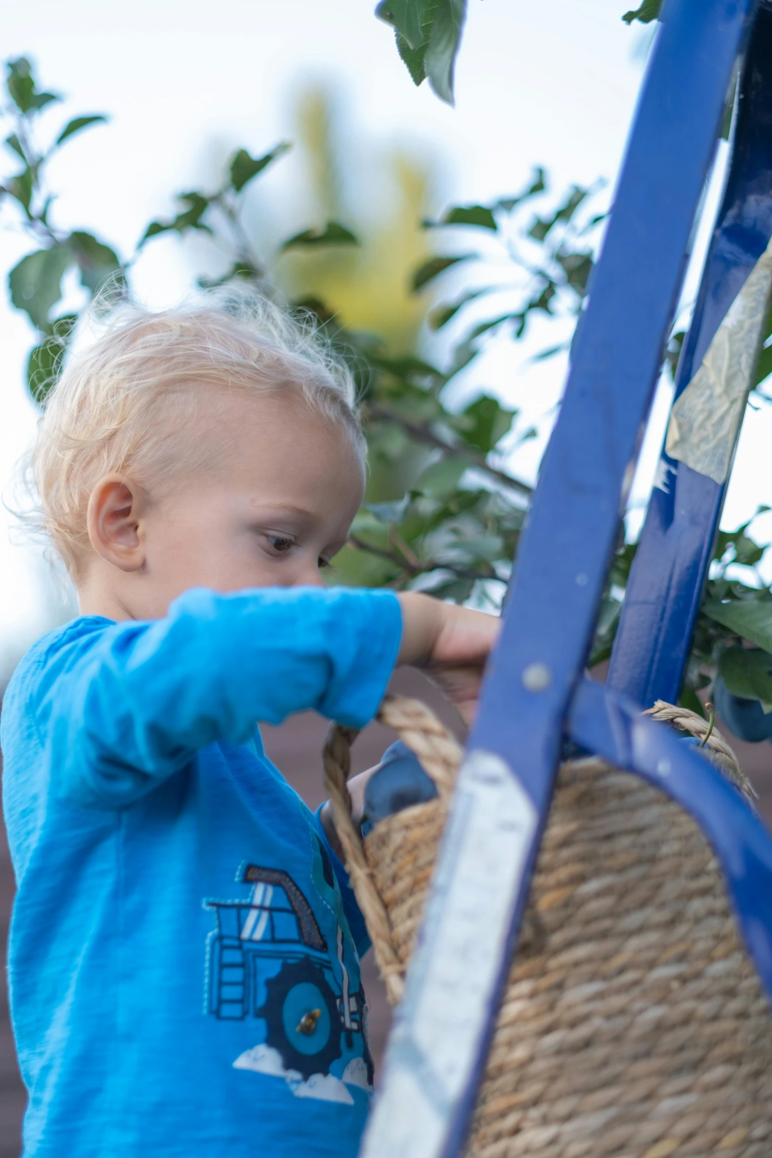 the little boy is putting soing in a basket